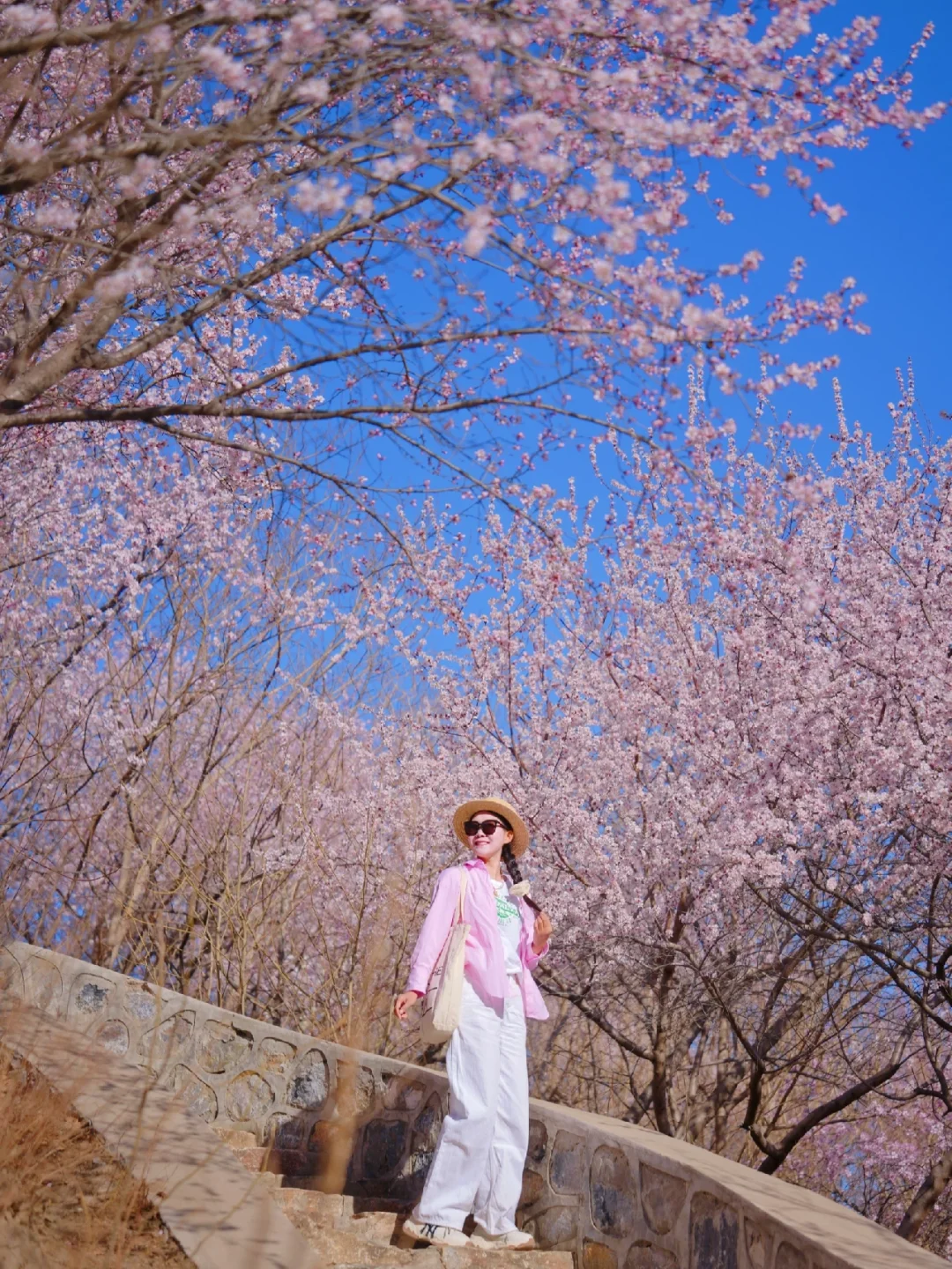 北京不宣传这里糊涂啊❗️园博园桃花谷太美了