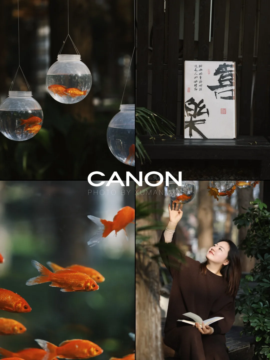Canon📷｜“一些热爱生活的文案”🐠