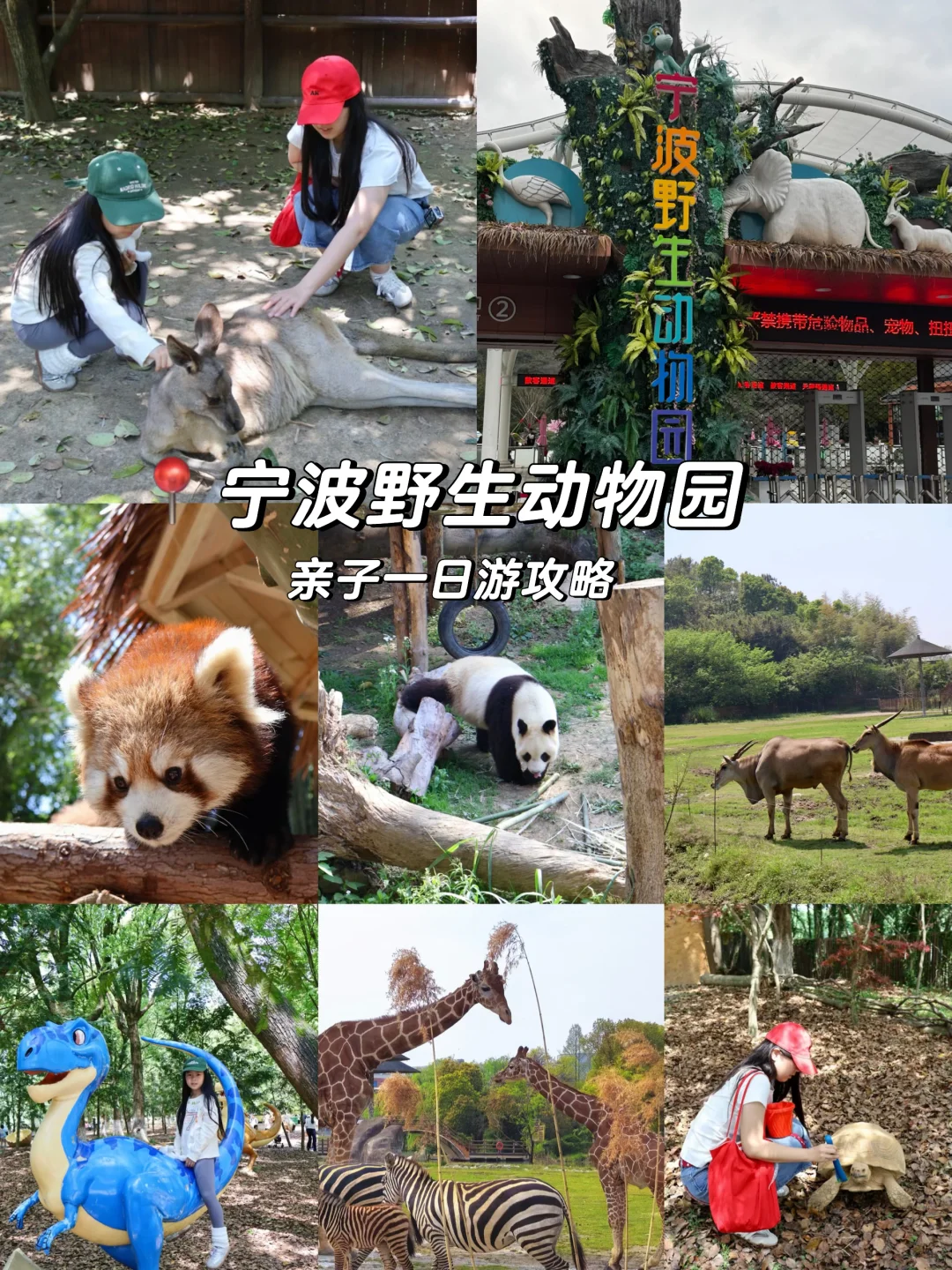宁波野生动物园亲子游攻略🐼票价100+值哭了