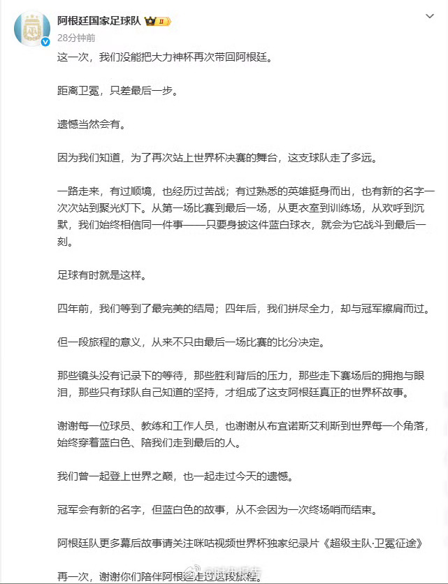 阿根廷队总结世界杯