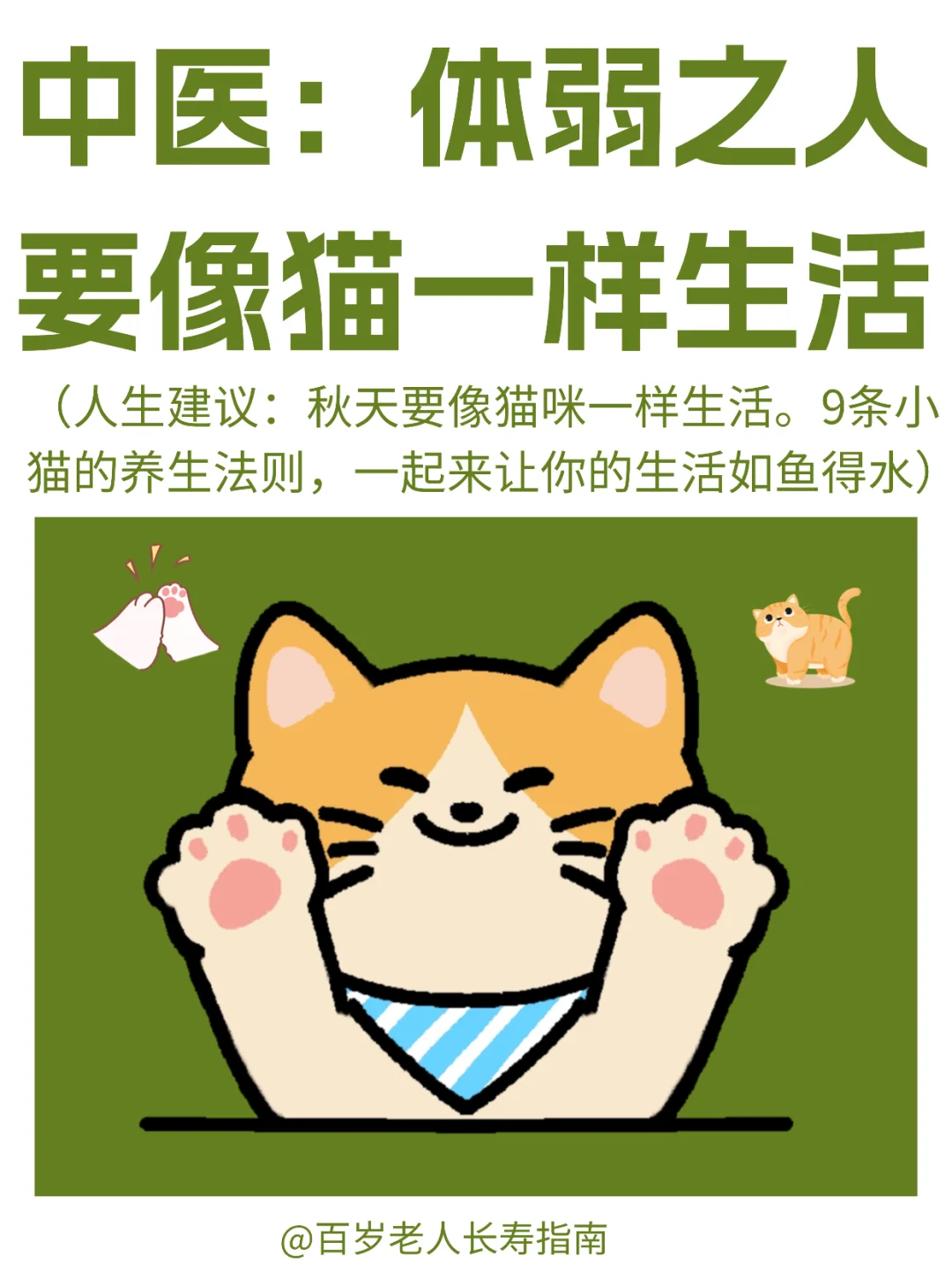 真心提醒：气血不足的人要像猫一样生活