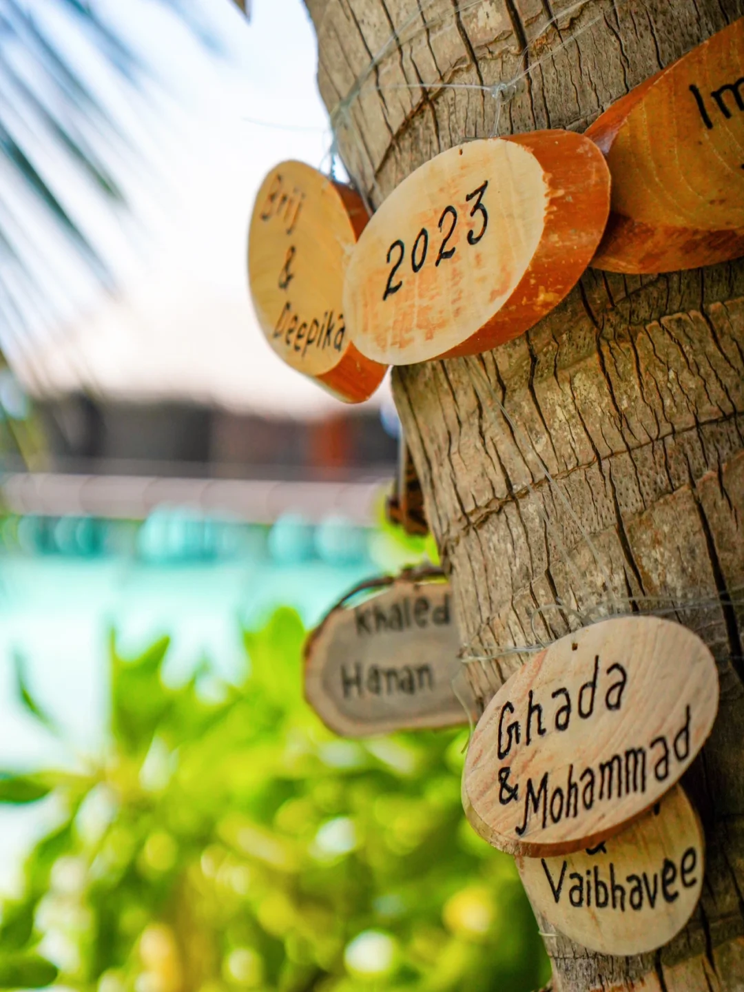 这是一个没有人物的马代笔记🌴🏖️🛟