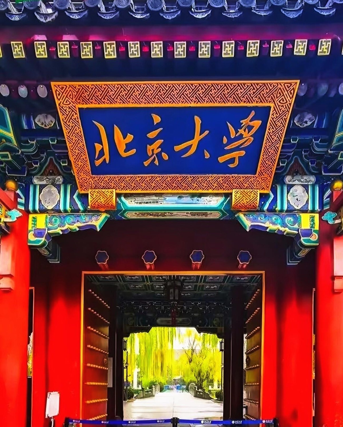 光绪帝一纸诏书，孙家鼐顶着压力把京师大学堂办了起来，这就是北大的根。清华园里书声琅琅，钱却是从美国退回的庚子赔款里抠出来的。张之洞在武昌城头一声断喝，自强学堂拔地而起；到了南京，三江师范的蓝图又是他和刘坤一、魏光焴联手铺开。袁世凯递折子奏请山东办学，李于锴接手张罗，山东大学堂就此开张。马相伯散尽家财