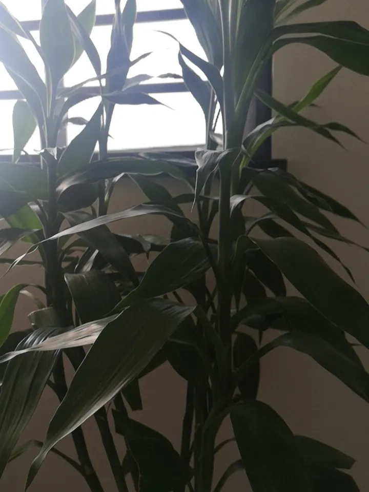 台风天气