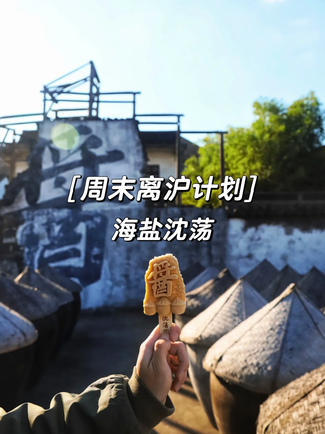 周末离沪计划（1/50）跟着余华游海盐沈荡