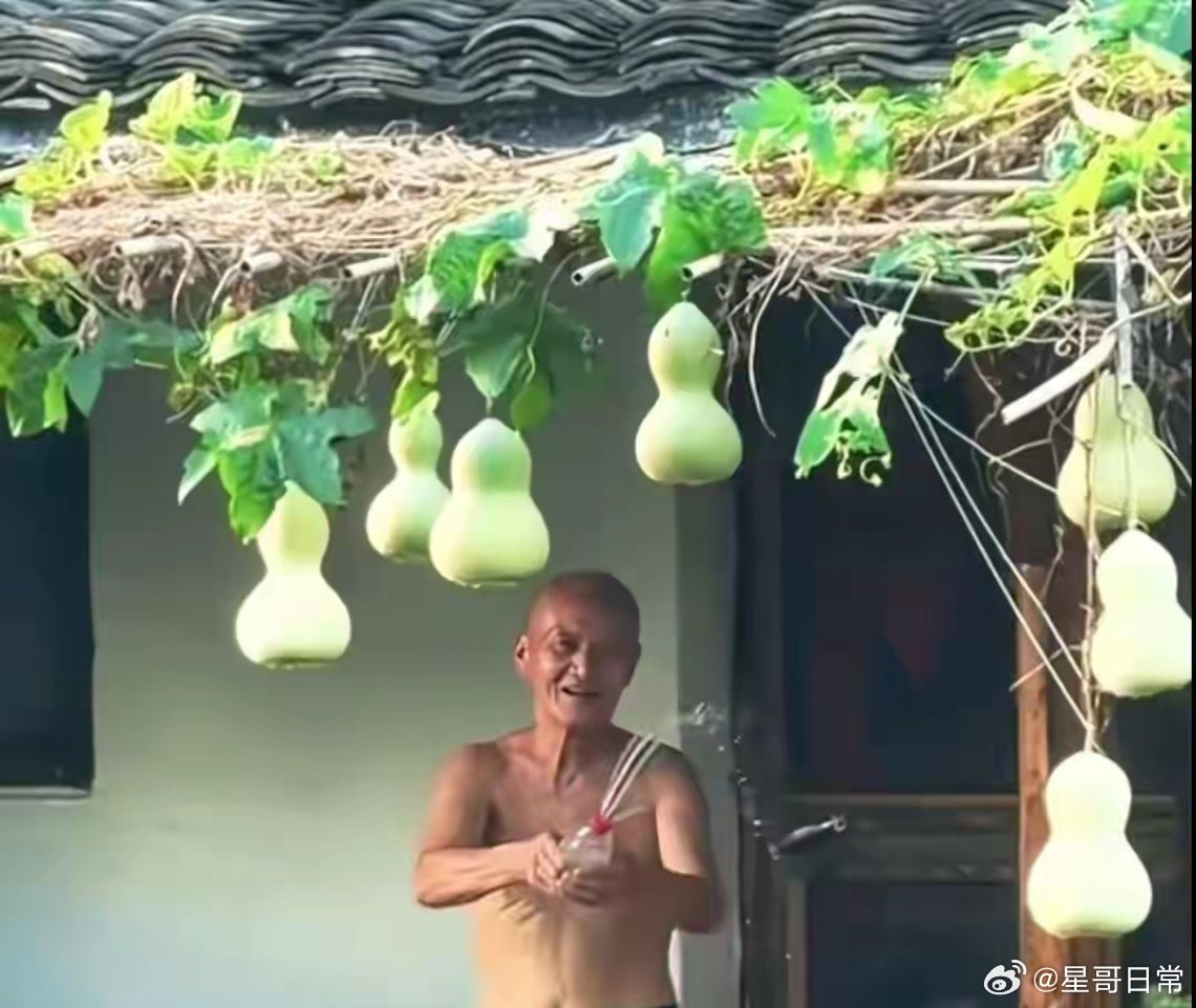 绍兴葫芦爷爷被迫连夜剪掉七个葫芦娃。

确实太辛苦了，频繁和游客互动，年轻人都累，何况那么大年龄，需要静养一段时间。

但可以期待明年，还会长出新的葫芦娃。 ​