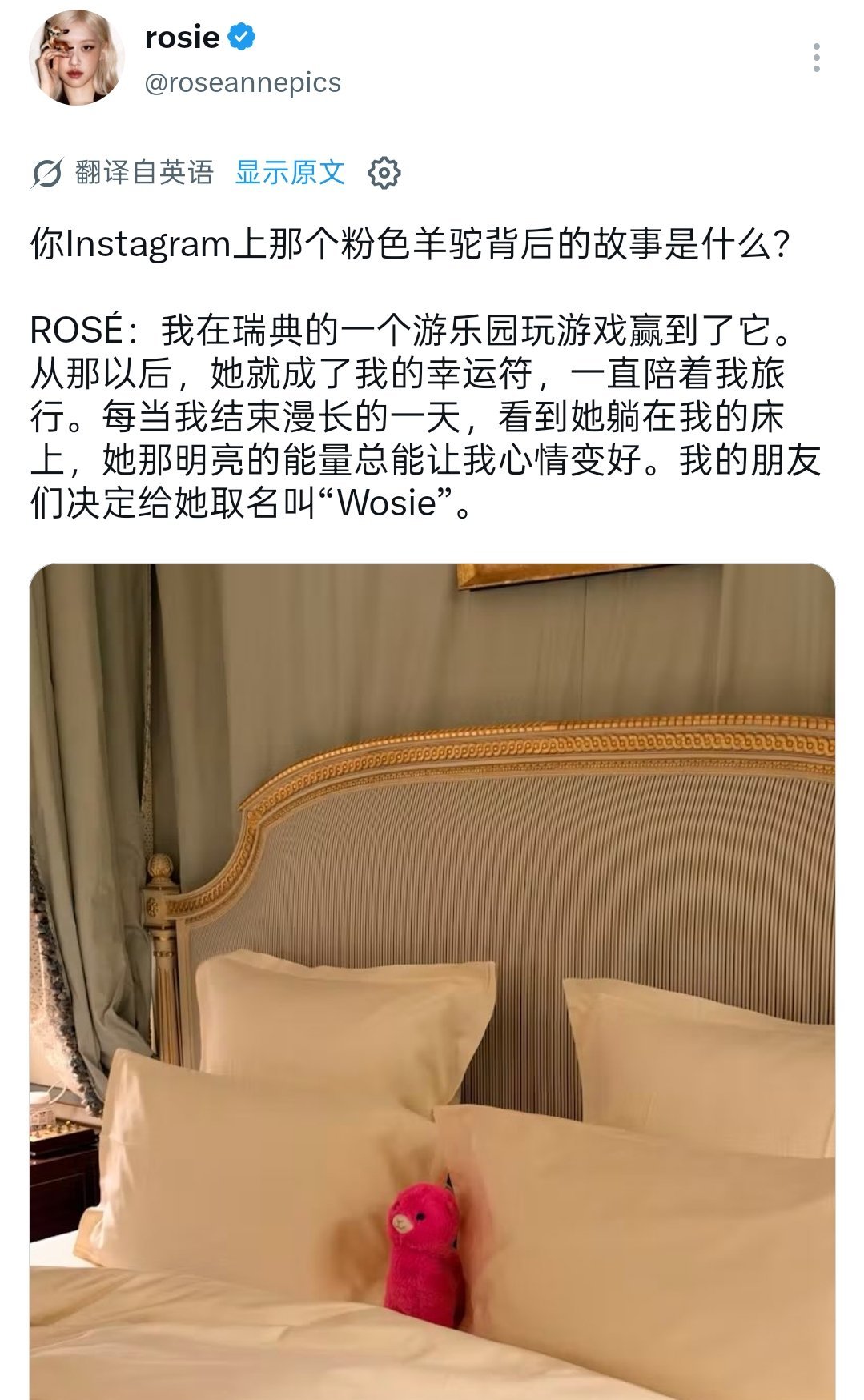我们小羊驼有自己的名字，叫Wosie～～

游戏大王朴彩英有了新的旅行小搭子，wosie～ ​