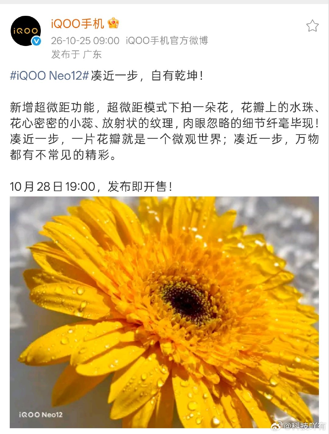 现在买手机都是用放大镜来选
但凡那个环境不行
都会被 pass 掉
加上现在新机的价格贵的离谱
很难找到新款既要又要的新机
#iQOO Neo12#  在影像和性能上就做得不错
关键是价格良心
影像上还新增了超级微距功能
这功能用的还是挺多的
特别拍一些微小的物品
很有意思#iqoo[超话]# ​
