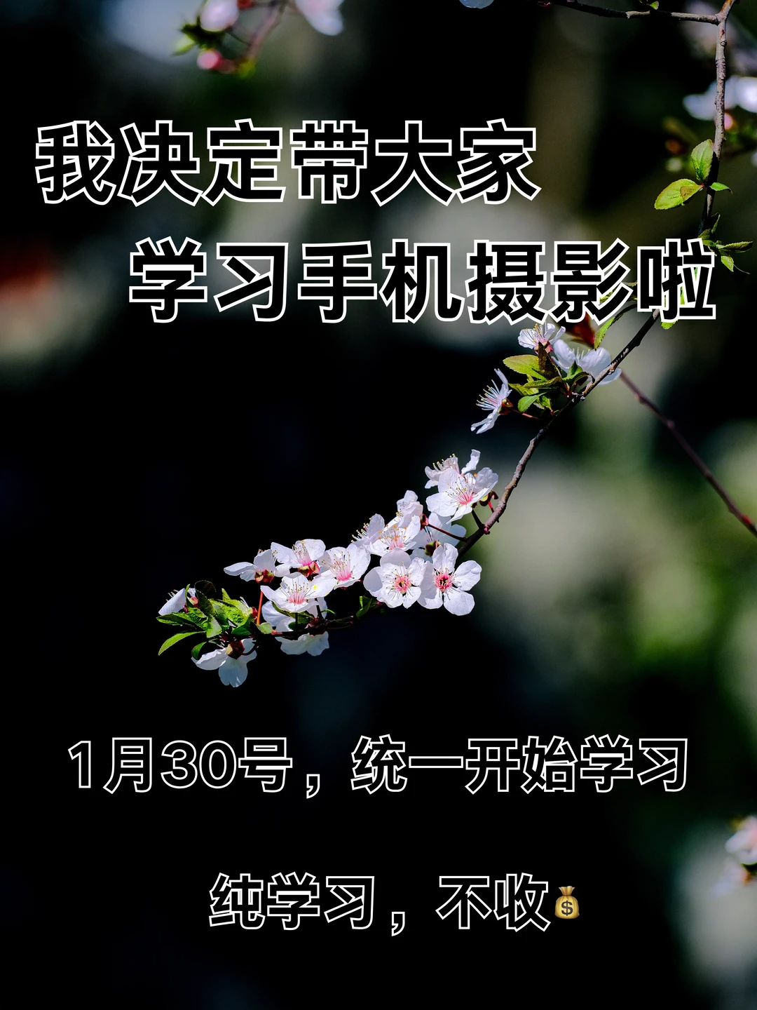 我决定带大家学习手机摄影啦！！