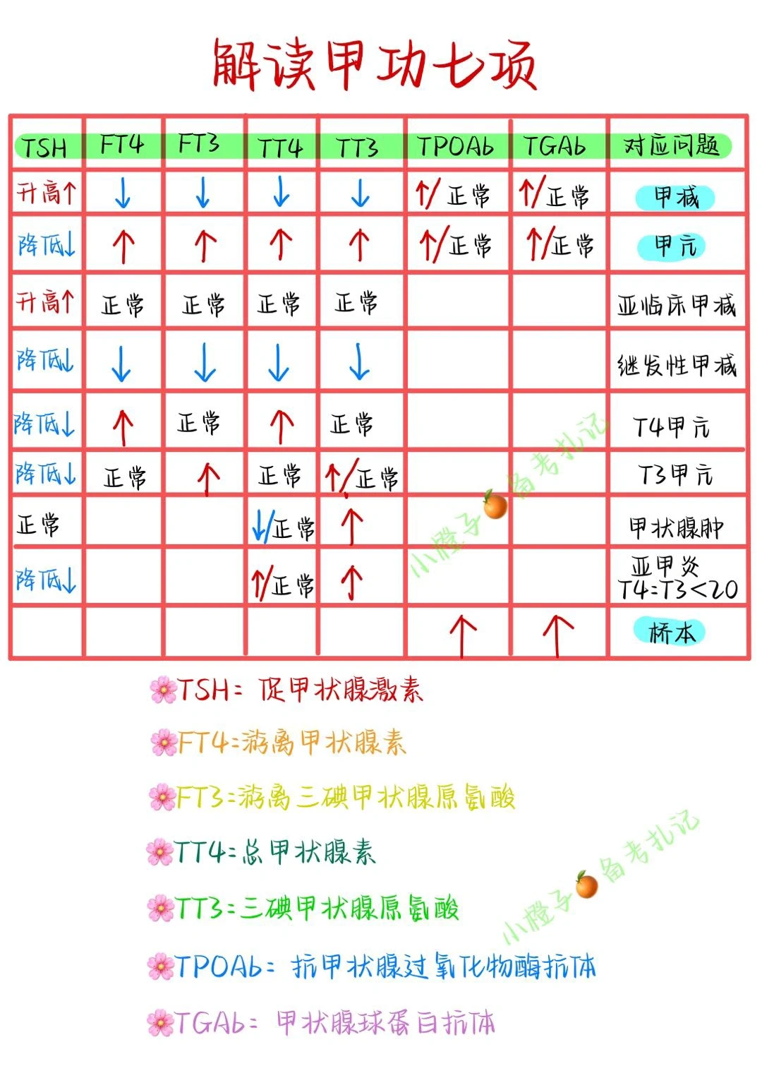 📖护师笔记｜甲功七项解读🔥