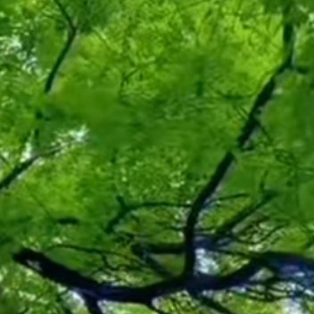 [超话]  人生就像马拉松，获胜的关键不在于瞬间的爆发，而在于途中的坚...