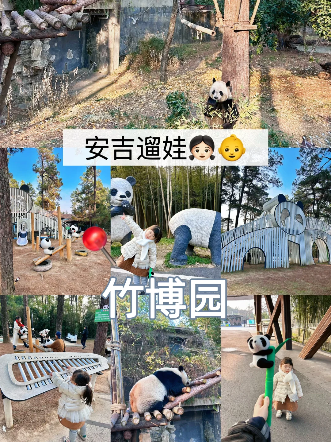 安吉遛娃1️⃣竹博园｜看熊猫｜县城区