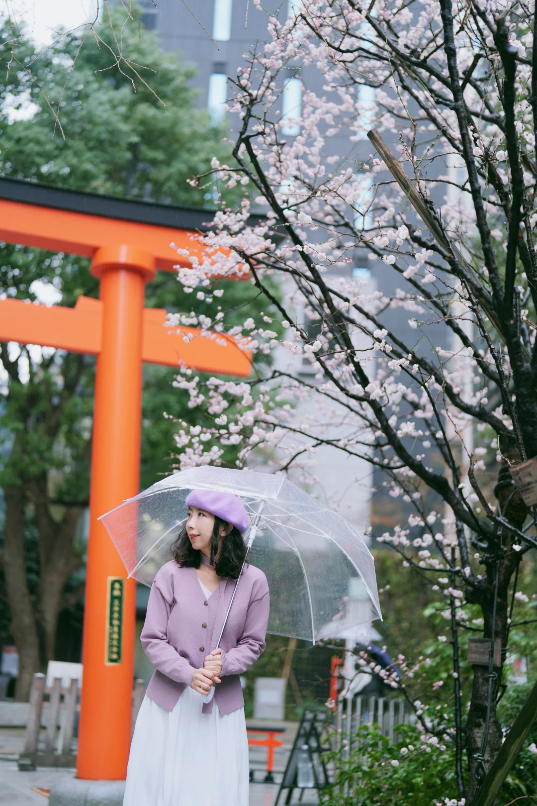 2026东京樱花攻略🌸把艺术点心装进赏樱行