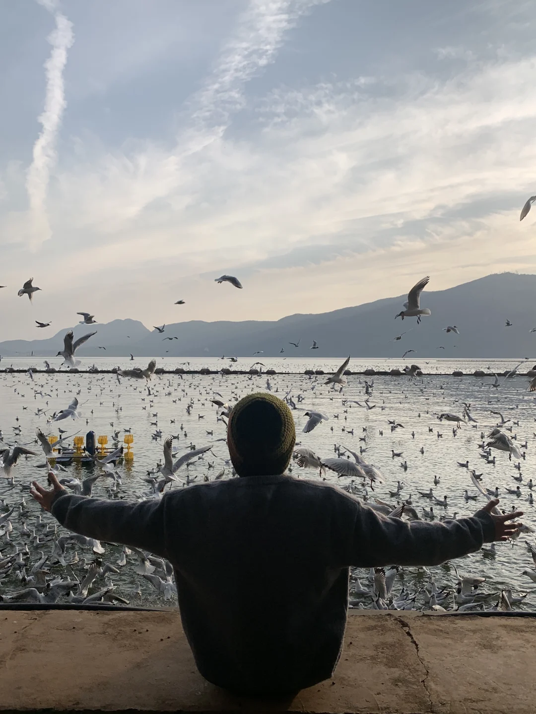 昆明最美日落，海鸥和橘子海太适配了