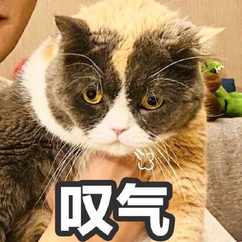 灵枫漫说科技