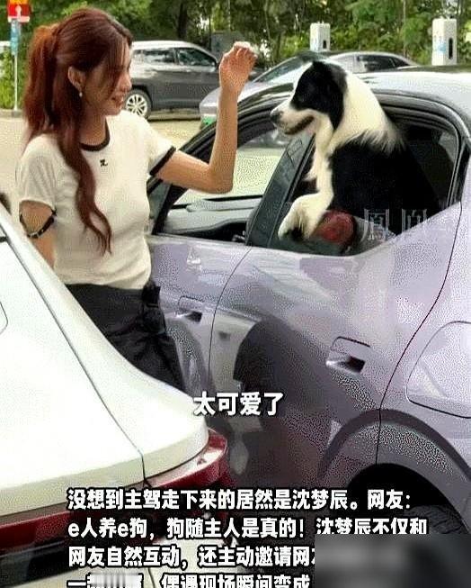 长沙街头，沈梦辰嗦着粉被围了，结果她直接单膝跪地接粉丝的信。
旁边一条边牧凑热闹，她蹲下去让人随便摸狗，还把自己点的小吃让给游客。没架子，动作利索，跟邻居大姐一样。
巧的是，前阵子她和杜海涛同一条街散步，被认出来，两口子反过来追着路人要合影。那话题还冲上过热搜。
明星在镜头前装亲和容易，在路边