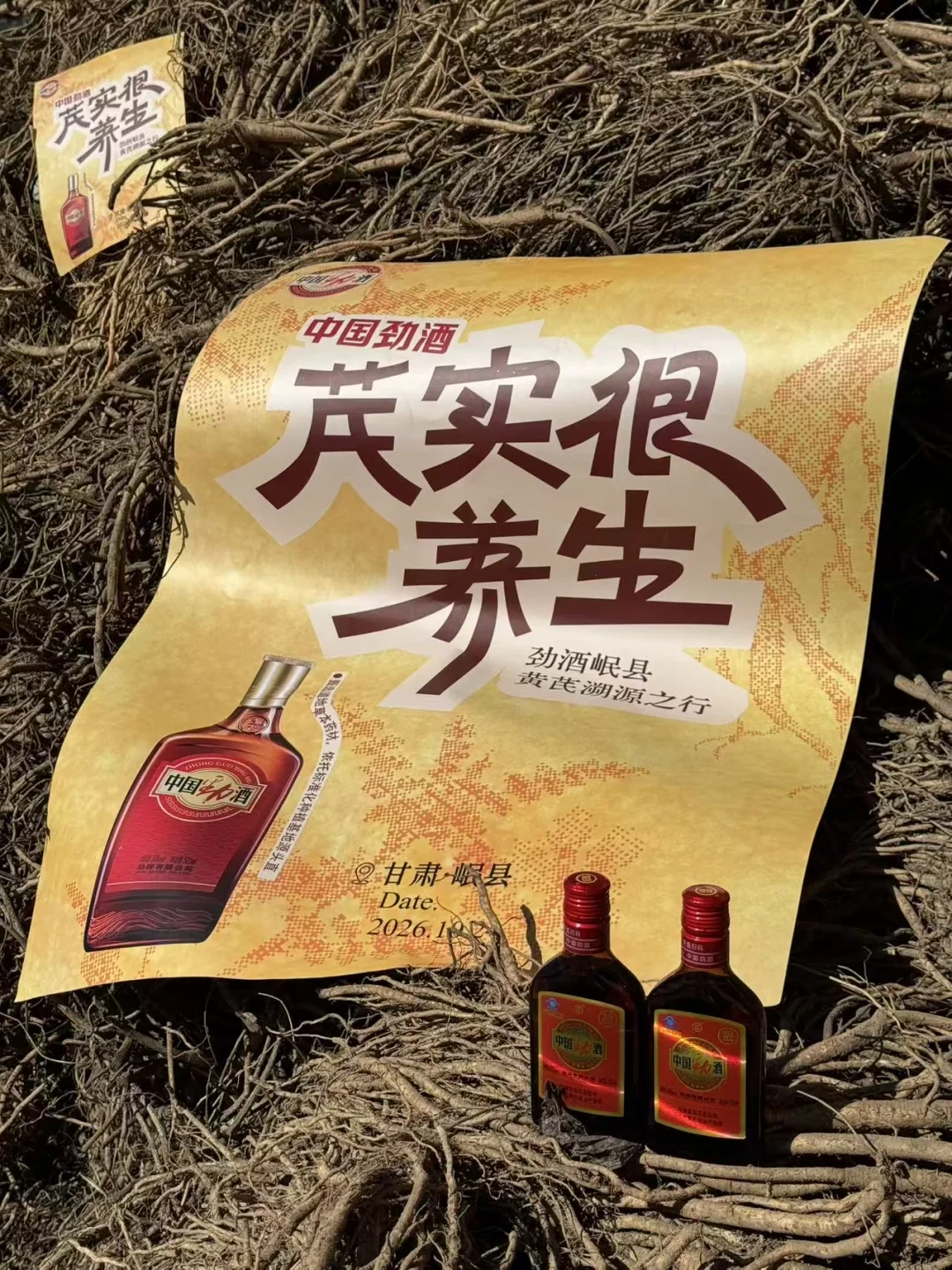 芪实很养生｜走进劲酒黄芪原产地千年药乡