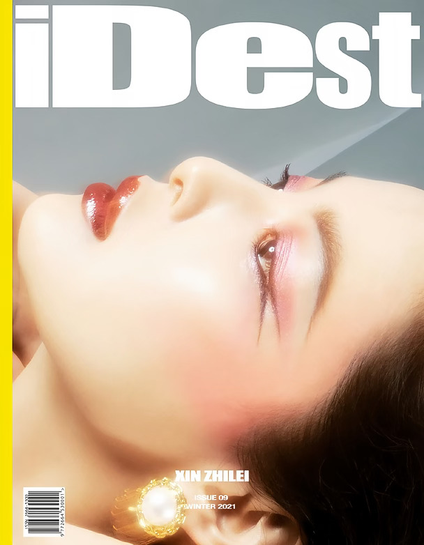 先锋、大胆！改名前的iDest杂志真美