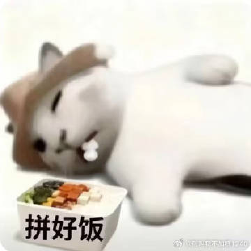 今年追剧到现在，最窝心的就是良陈美锦<span class="url-...