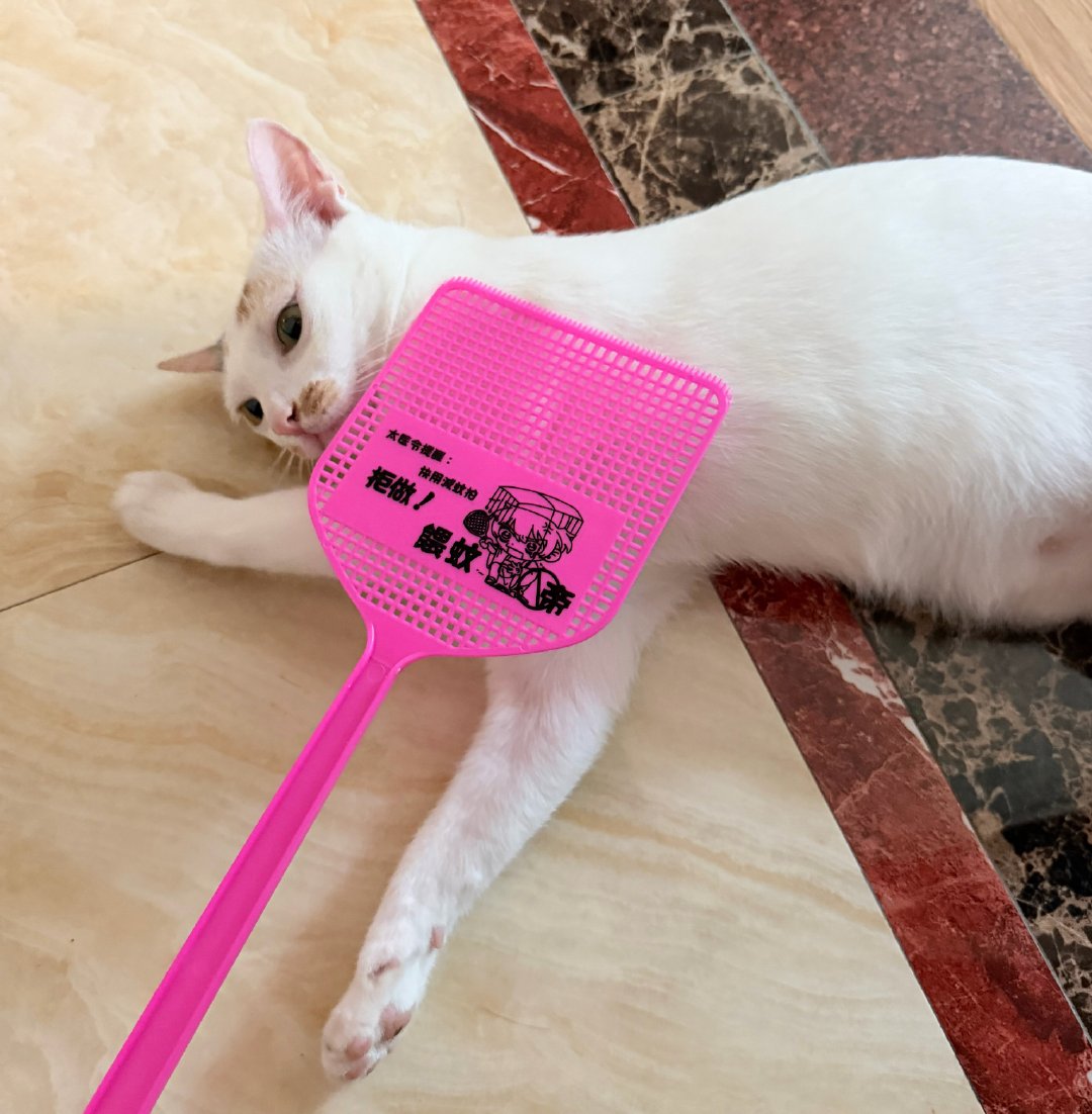 今天份的《食明》更新了！今晚可以早点睡！今天是被定住的小猫咪。 ​​​