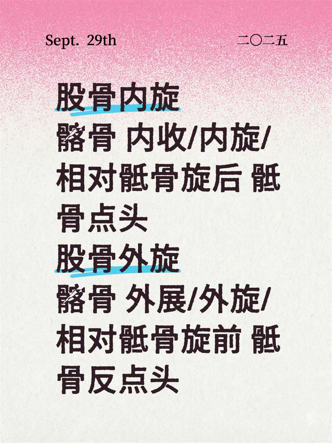 骨盆带的骨骼律动