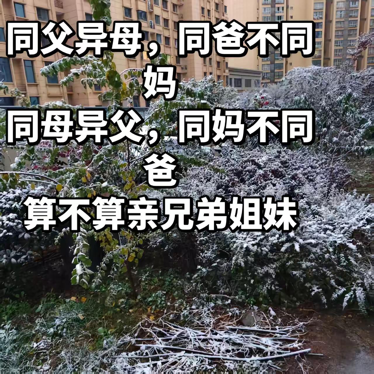 <p>婚姻 二婚家庭 兄弟姐妹 <!--{img:0}--></p><...