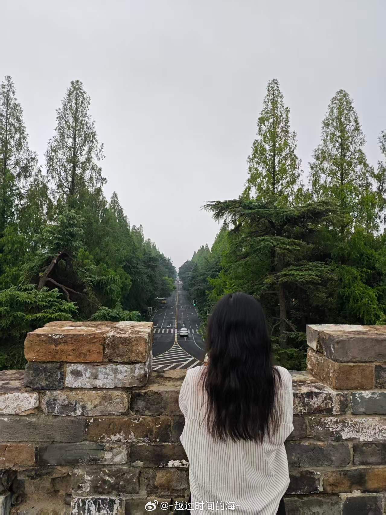 中年cp约会极限六小时：一开车门没想到他还给我买了🌹来到了心念的午朝...