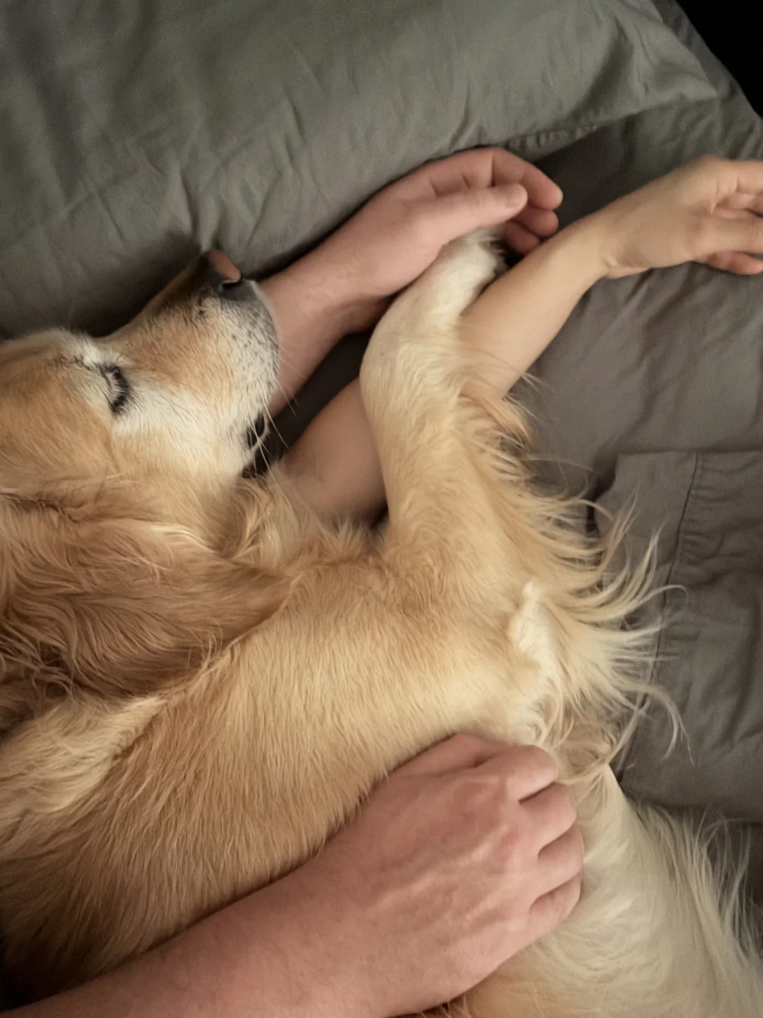 Morning cuddles