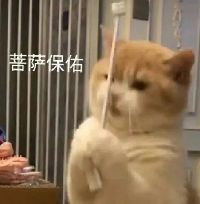 实用表情包