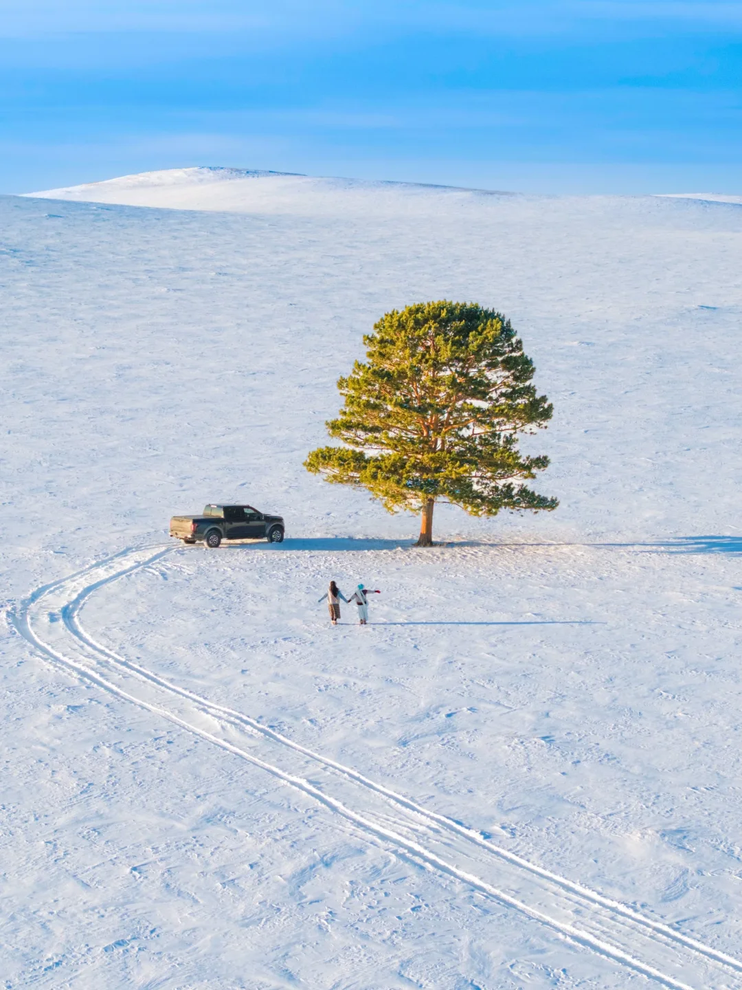 为了这18张图，我特意飞了一次呼伦贝尔❄️