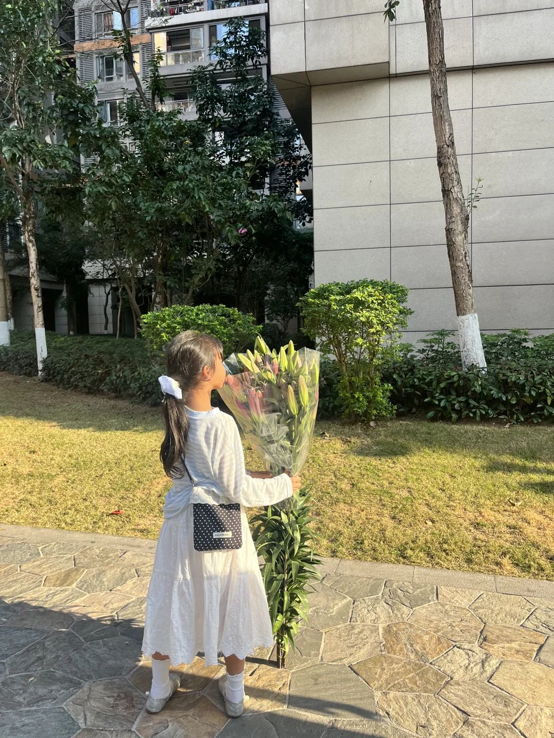 喜欢带春天回家的广东人
