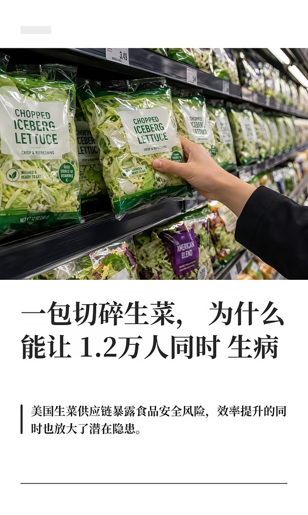 美国一包切碎生菜让 21个州1.2万人同时生病