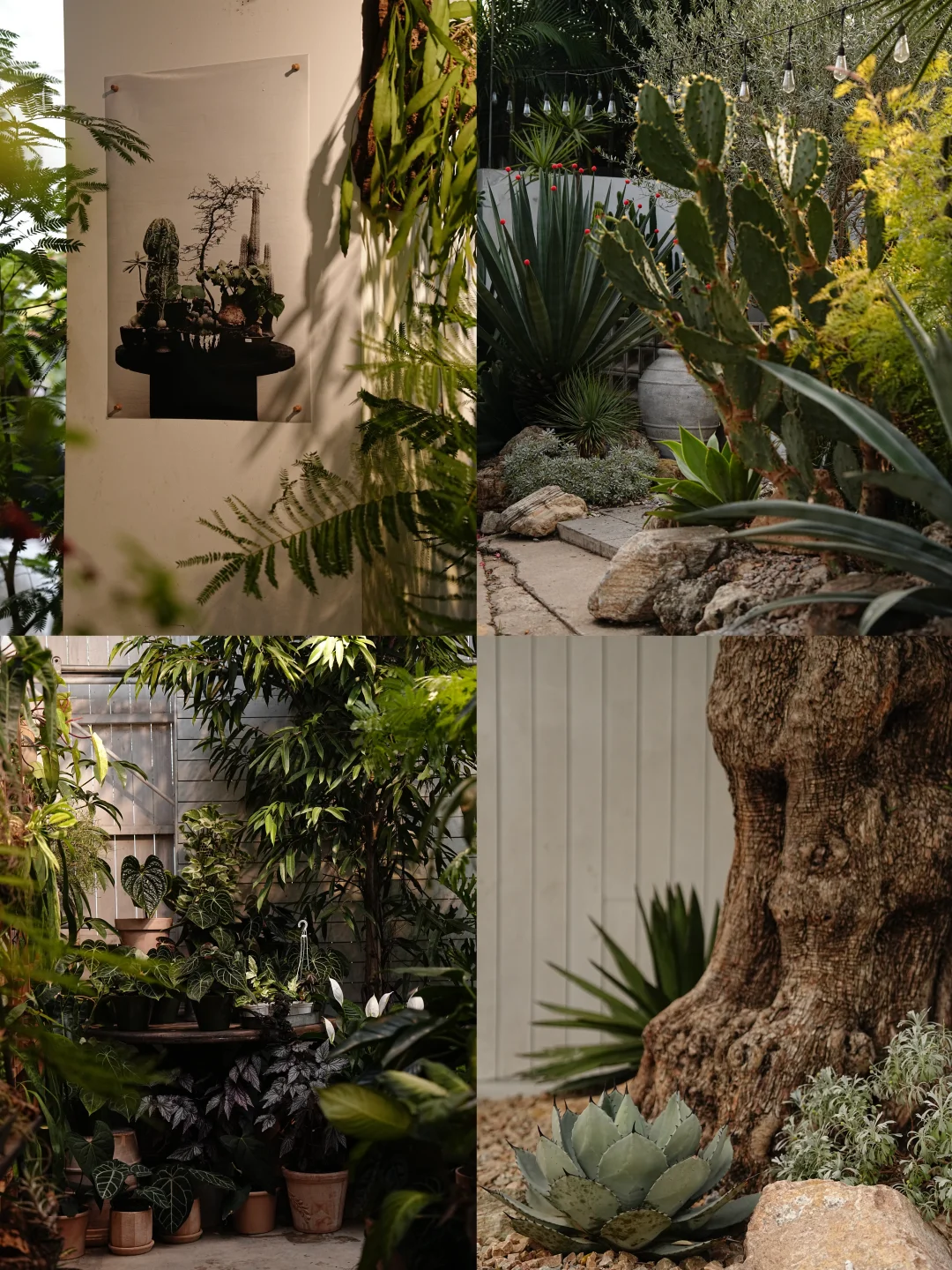 自由生长2026年招聘更新｜摄影摄像师