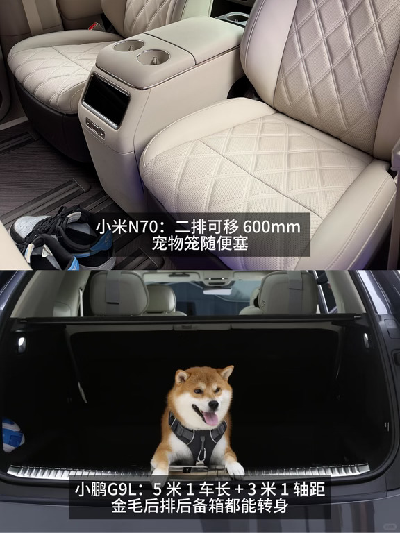 养宠家庭出行全攻略，收藏当手册用📖