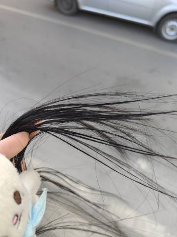 又到了头发冻冰的季节