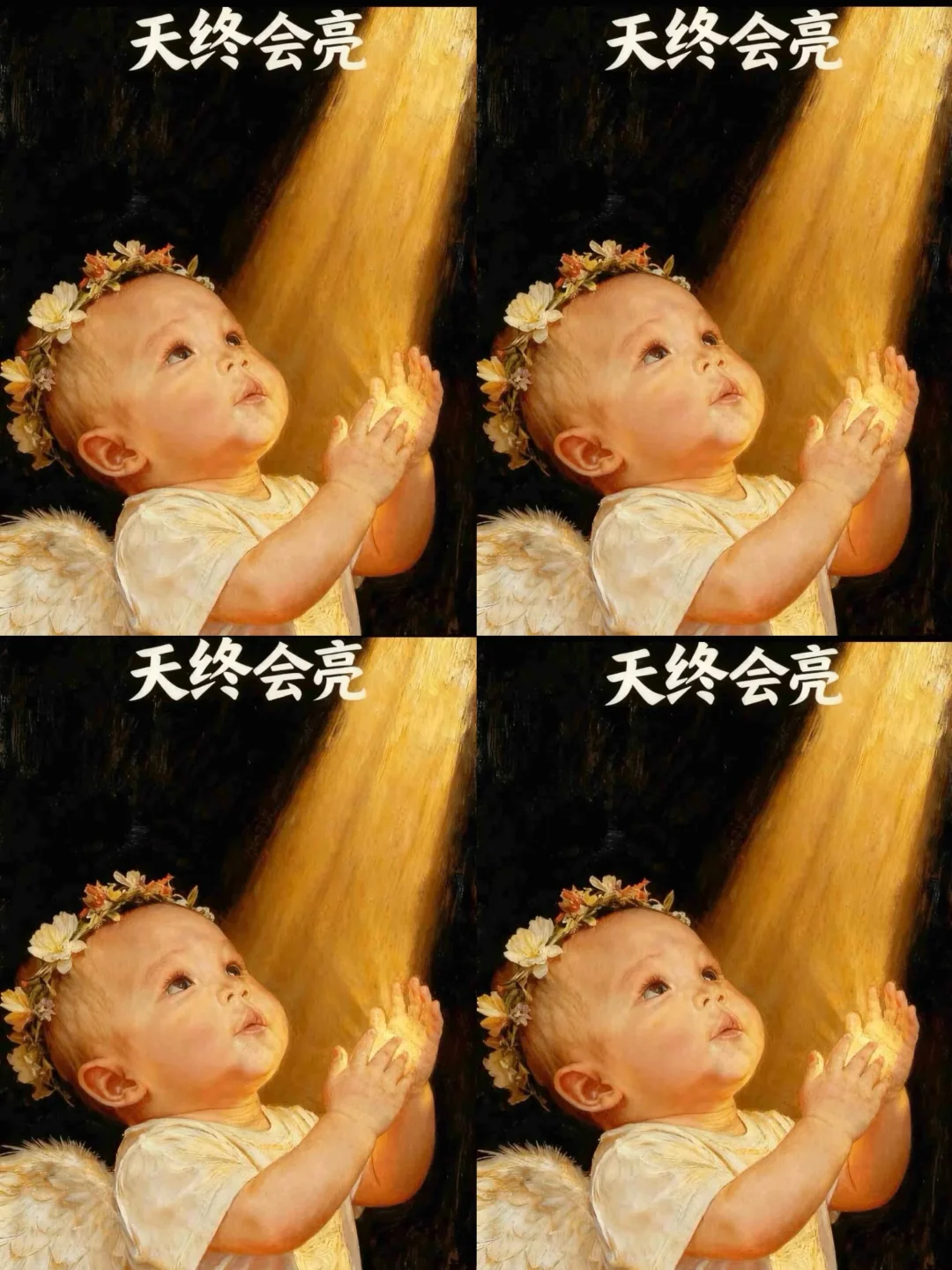 希望被看到！我粉多一点！我来！