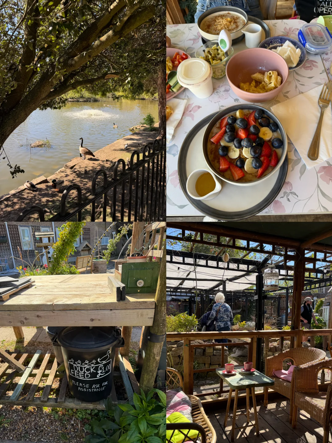 🌿本地人私藏的散步地 Ewell Court Park