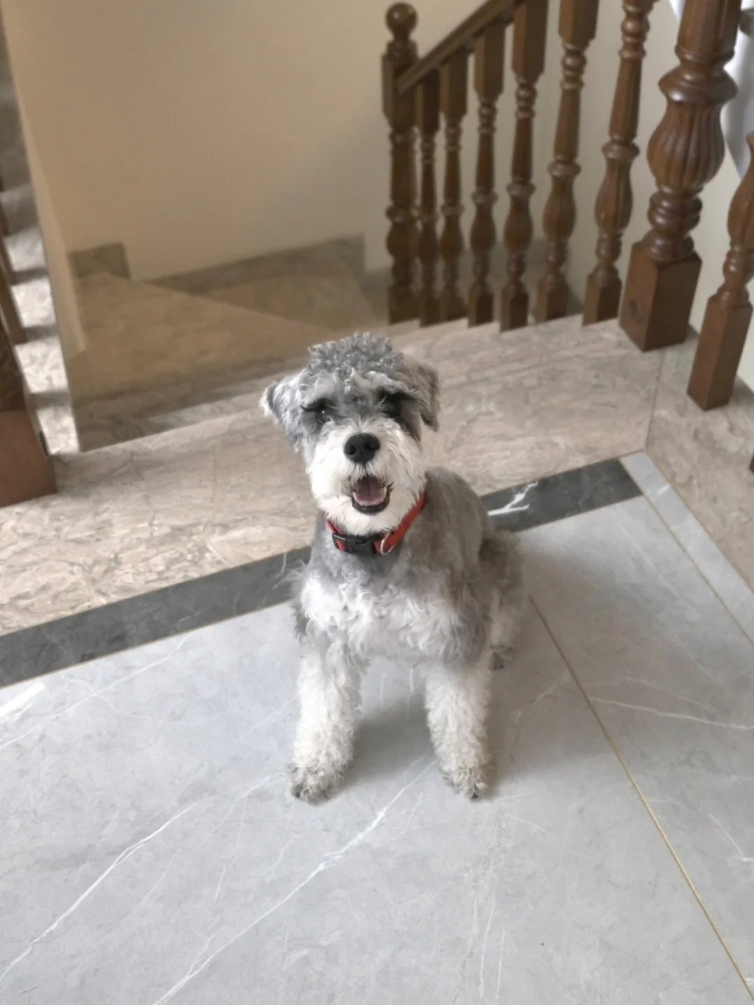 每天都能看见这个小太阳🌞