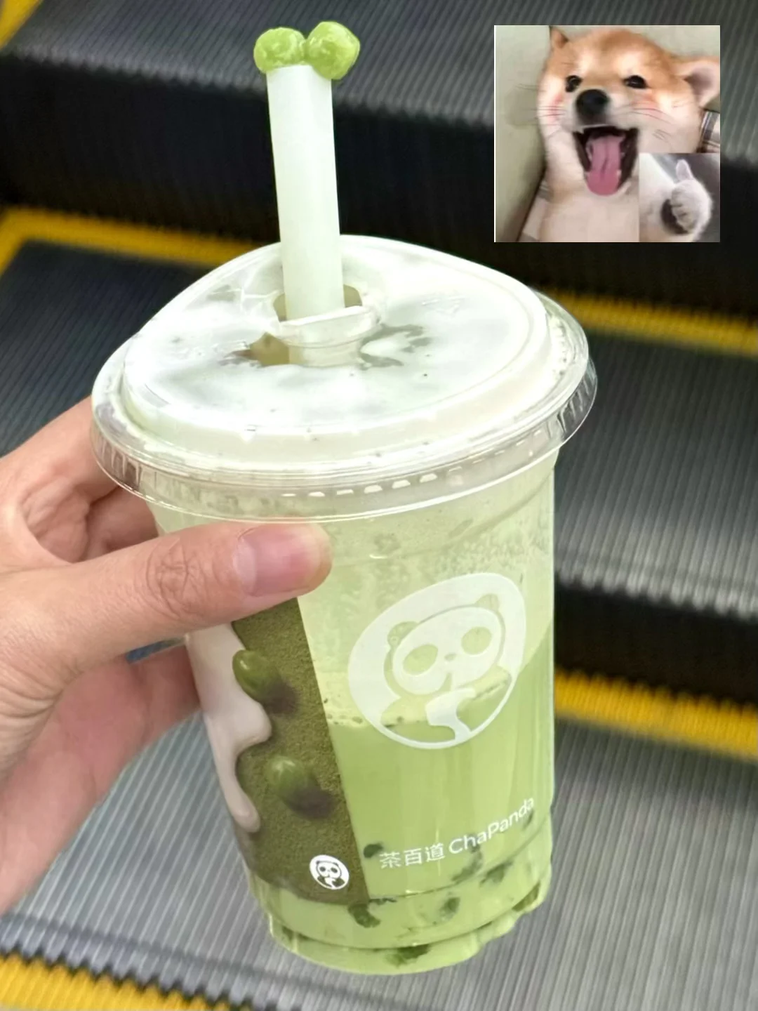 好喝的我不知天地为何物了🤣🤣