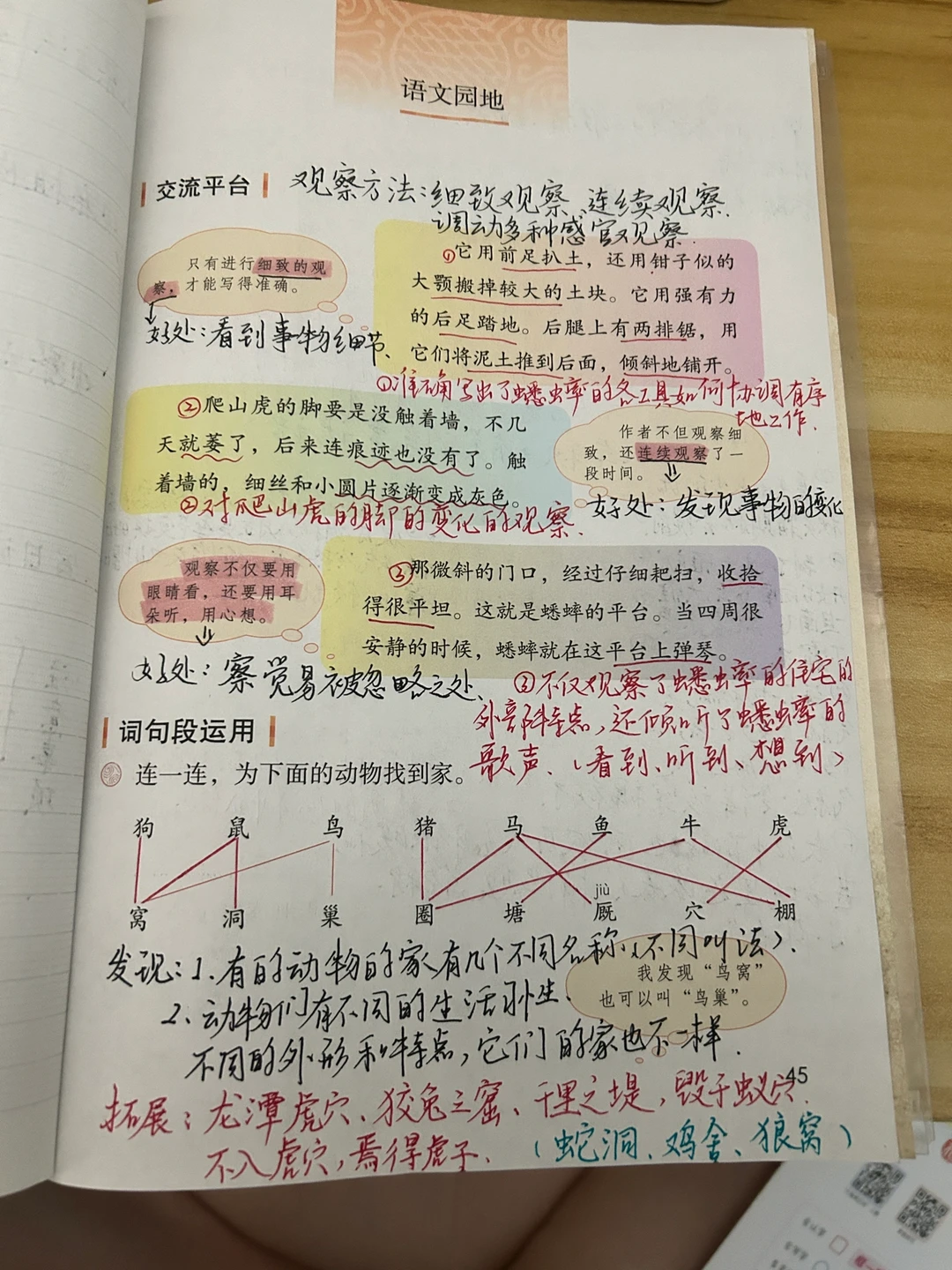 四上备课 《语文园地三》