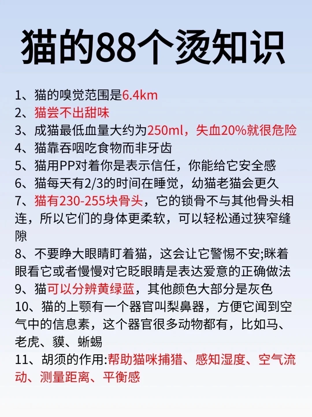 猫的88个烫知识、你家猫咪都知道吗？