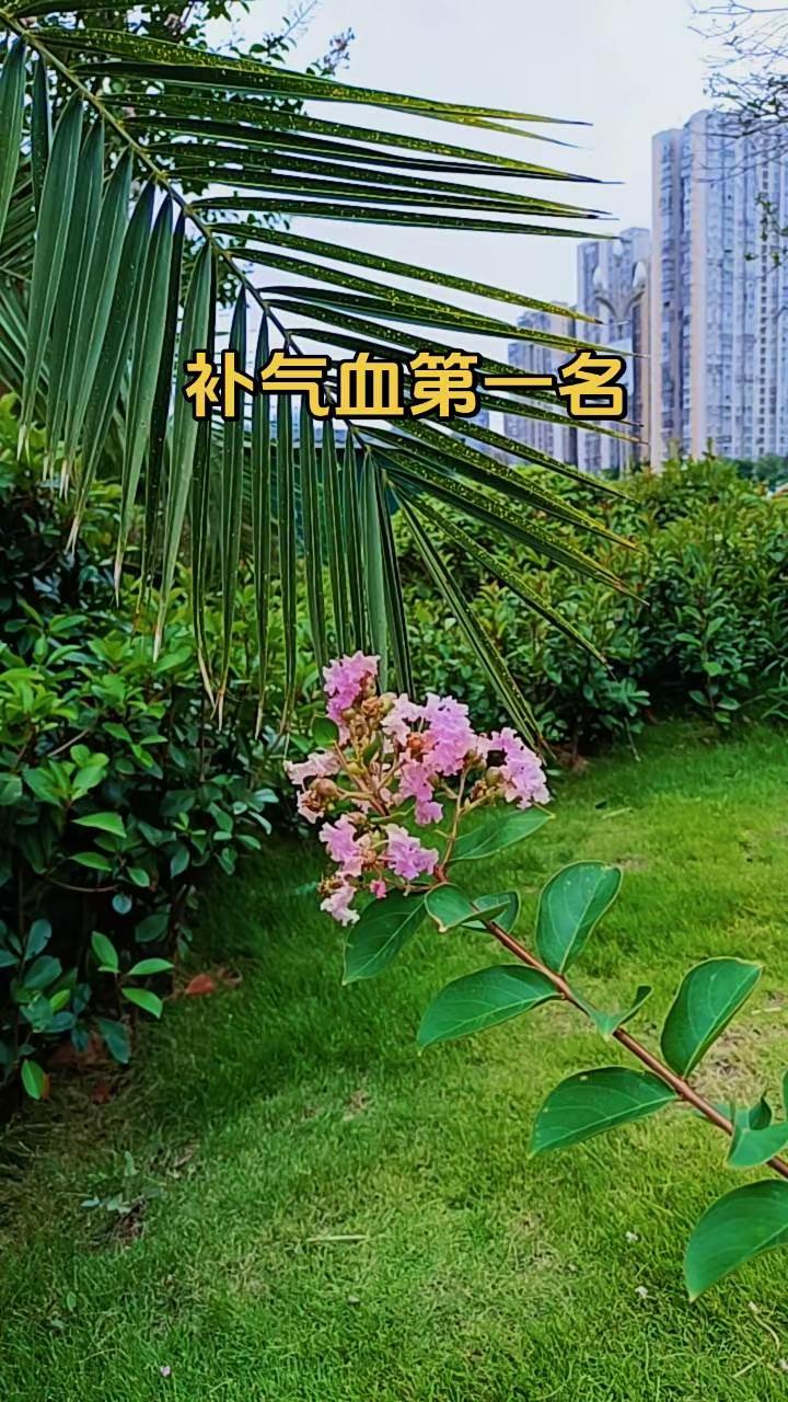 “狄龙VS白晶百分大战完整版” 狄龙白晶百分大战球星直播季 国足 足球