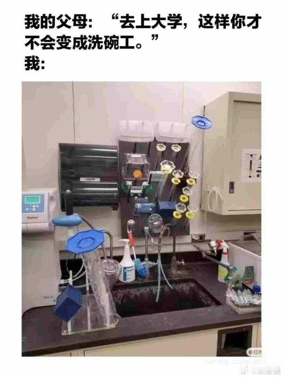 父母：去上大学，这样你才不会变成洗碗工。 我： ​​​