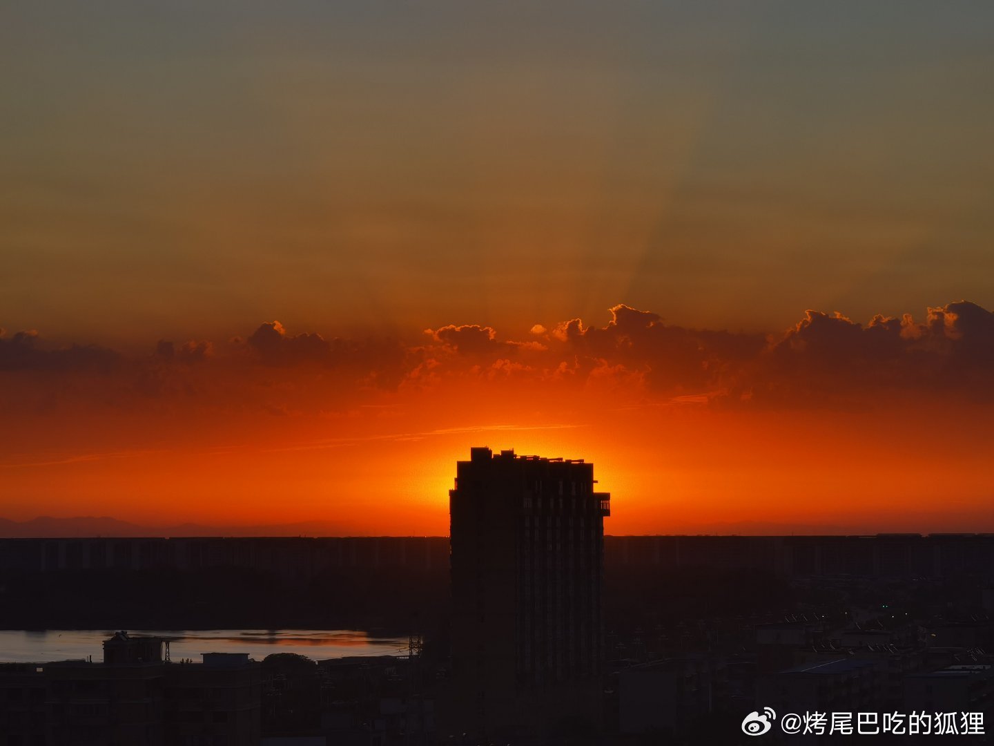 想起中学时代，写作文喜欢用《奥德赛》里的一句话，“黎明垂着玫瑰色的手指”。今天她的手指好美。 ​