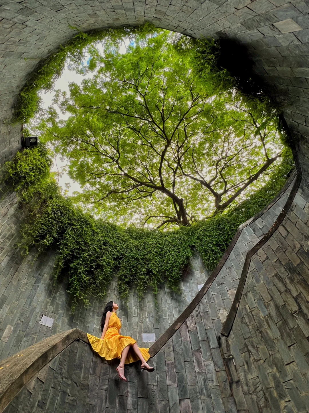 4月旅行｜手机也能拍出杂志大片的网红树洞🌳
