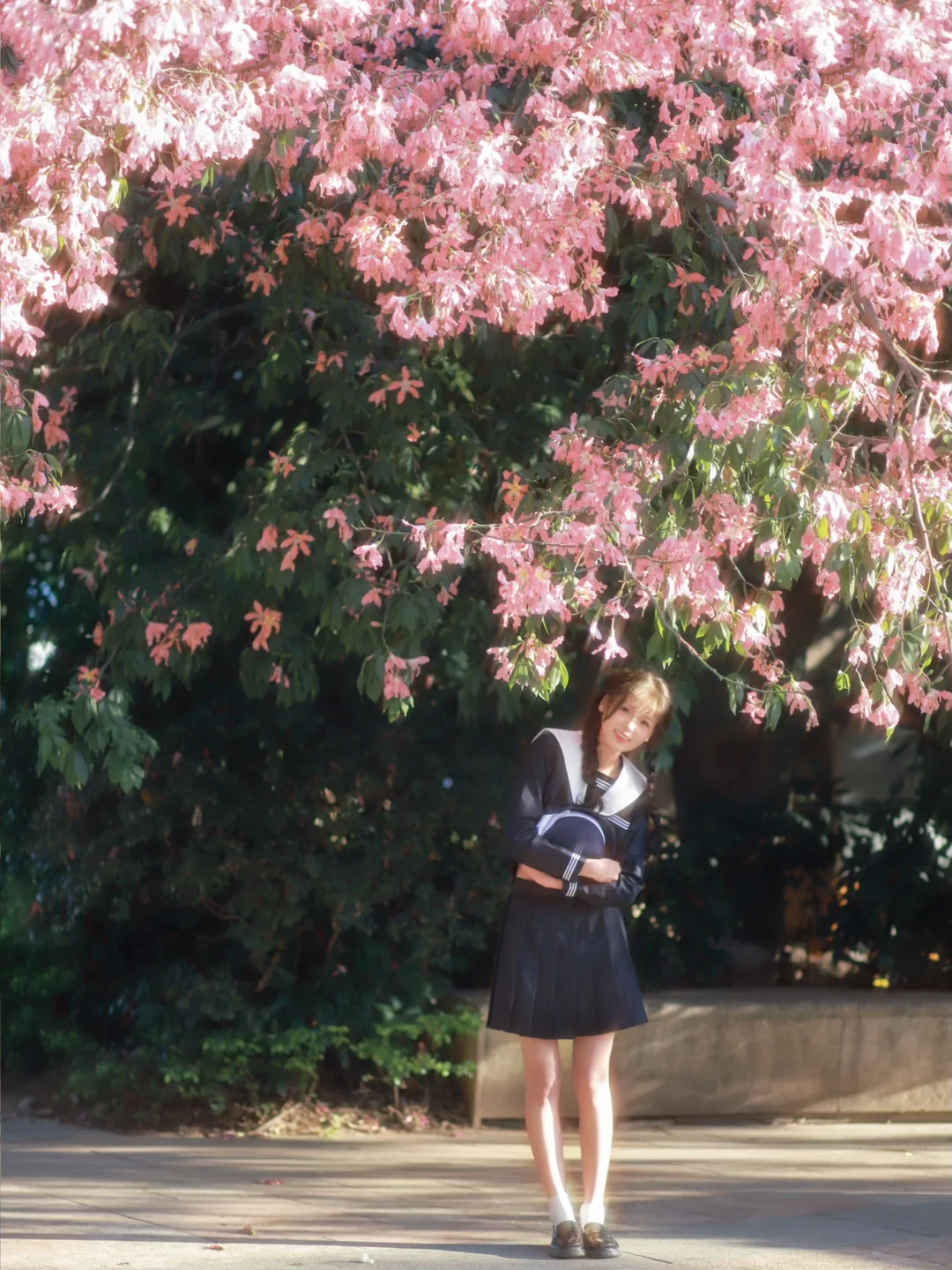 夕阳下的异木棉和我🌸🧚‍♀️🌸｜花树下jk拍照