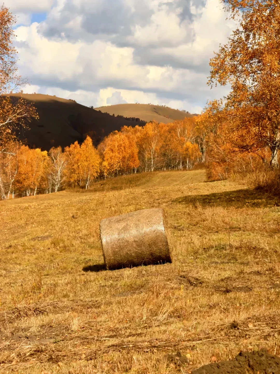 秋天一定要去一次乌兰布统油画秘境🍂