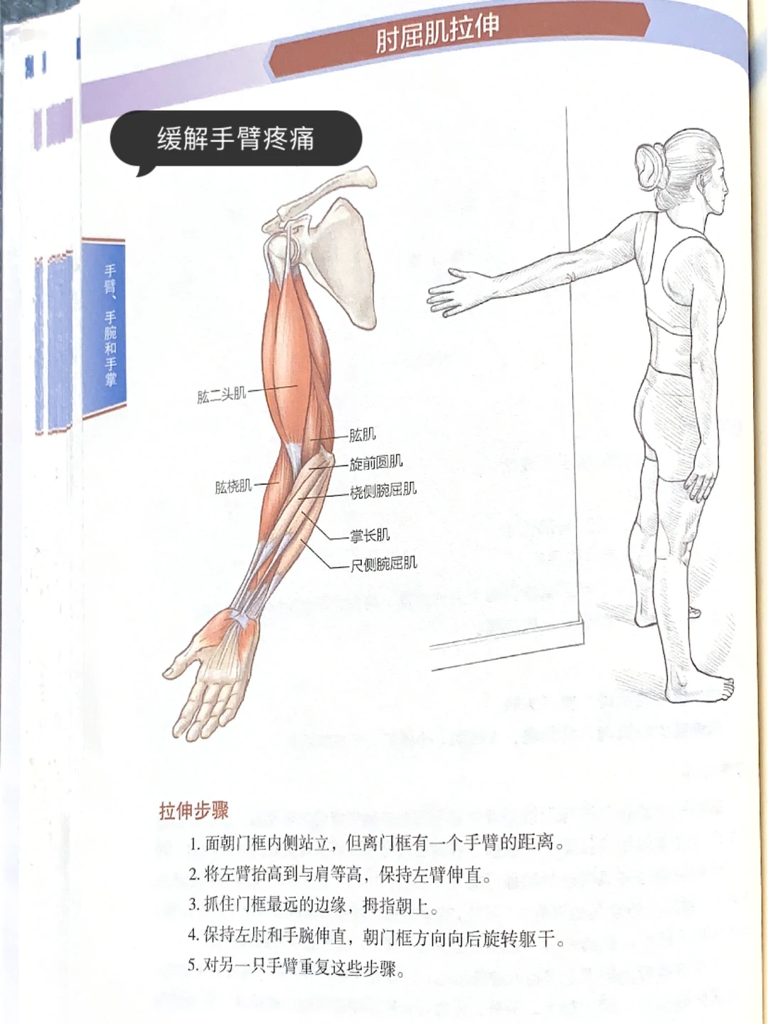 拉伸手臂｜重塑线条 ！拉伸运动训练