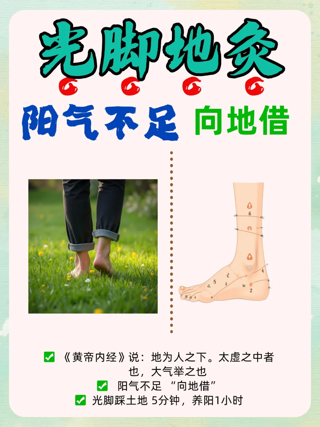 光脚地灸，阳气不足向地借‼️低成本升气血