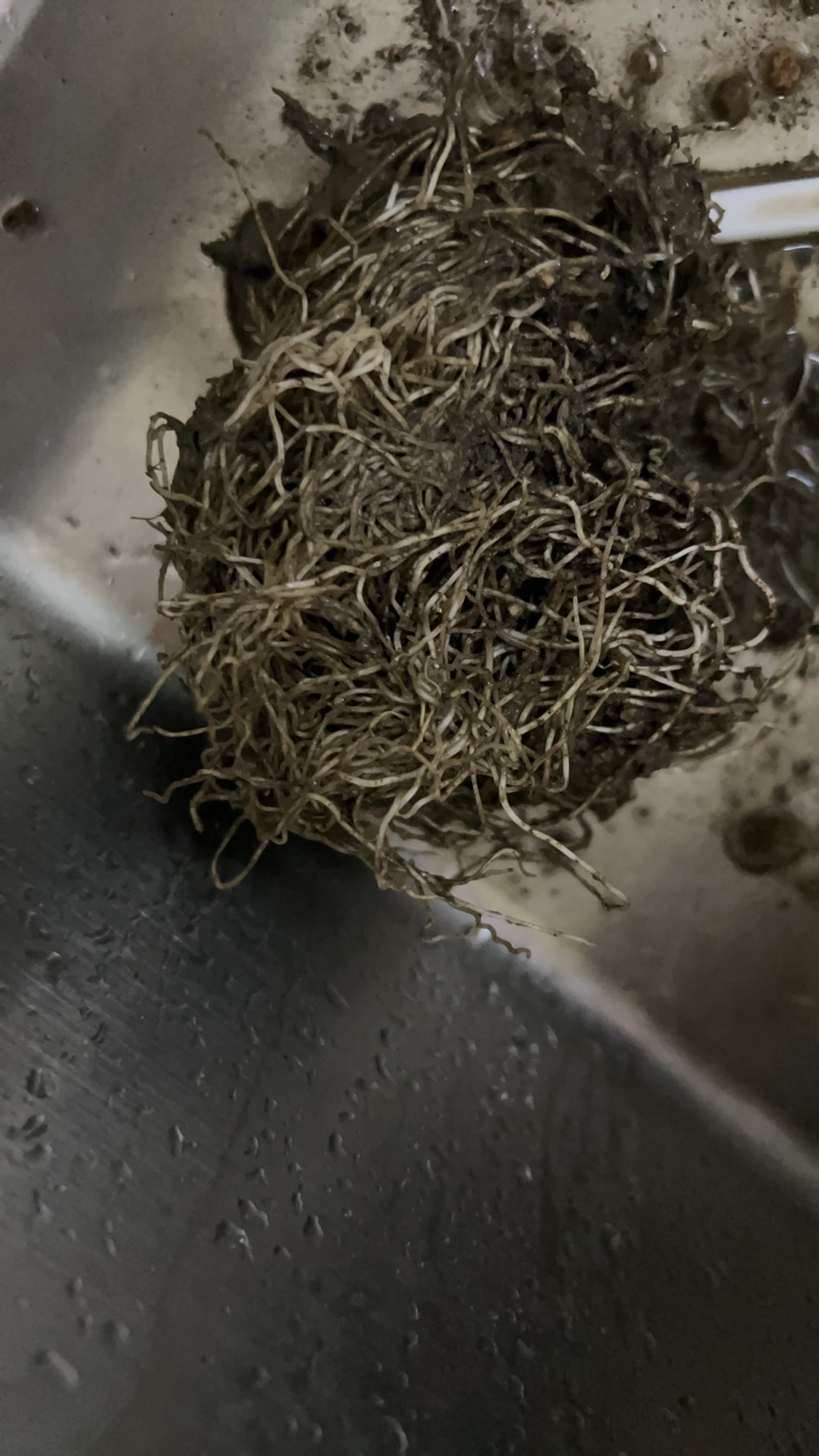 年轻小夫妻，如胶似漆，一日三次不停息；中年夫妻，相互嫌弃，为了睡眠分床...